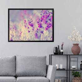 Obraz w ramie Fioletowe dzikie kwiaty