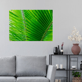 Plakat samoprzylepny Zbliżenie na duże zielone tropikalne liście
