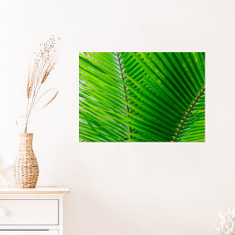 Plakat samoprzylepny Zbliżenie na duże zielone tropikalne liście