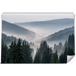 Fototapeta winylowa zmywalna Mglisty krajobraz - widok z gór na dolinę pokrytą mgłą