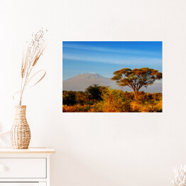 Plakat Piękna góra Kilimanjaro podczas wschodu słońca, Kenia, Afryka