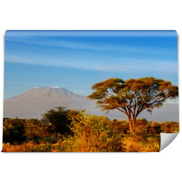Piękna góra Kilimanjaro podczas wschodu słońca, Kenia, Afryka