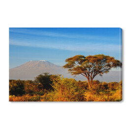 Obraz na płótnie Piękna góra Kilimanjaro podczas wschodu słońca, Kenia, Afryka