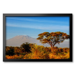Obraz w ramie Piękna góra Kilimanjaro podczas wschodu słońca, Kenia, Afryka