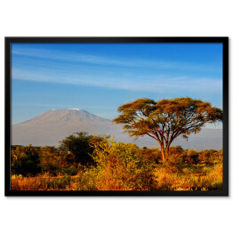 Plakat w ramie Piękna góra Kilimanjaro podczas wschodu słońca, Kenia, Afryka