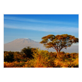 Plakat samoprzylepny Piękna góra Kilimanjaro podczas wschodu słońca, Kenia, Afryka