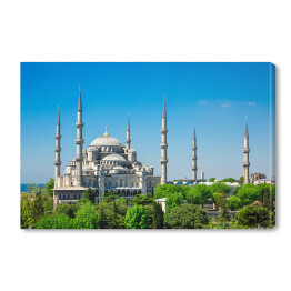 Sułtanu Ahmed meczet w Istanbuł w słoneczny dzień, Turcja 