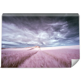 Fototapeta winylowa zmywalna Oszałamiający surrealistyczny fałszywy kolor podczerwieni Letni krajobraz nad agri