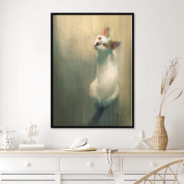 Plakat w ramie Młody biały kot patrzący w górę