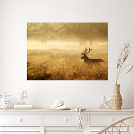 Plakat samoprzylepny Sylwetka jelenia w mgle o świcie