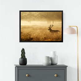 Obraz w ramie Sylwetka jelenia w mgle o świcie