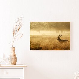 Obraz na płótnie Sylwetka jelenia w mgle o świcie