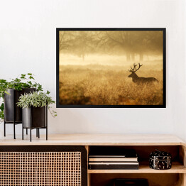 Obraz w ramie Sylwetka jelenia w mgle o świcie