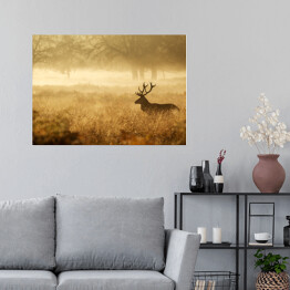 Plakat Sylwetka jelenia w mgle o świcie