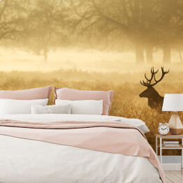 Fototapeta samoprzylepna Sylwetka jelenia w mgle o świcie