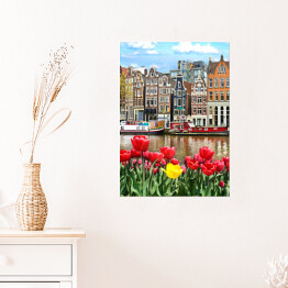 Plakat Piękny krajobraz z tulipanami i domami w Amsterdamie, Holandia