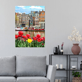 Plakat Piękny krajobraz z tulipanami i domami w Amsterdamie, Holandia