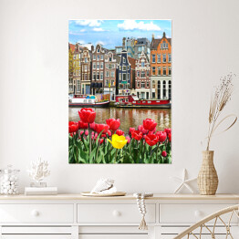 Plakat samoprzylepny Piękny krajobraz z tulipanami i domami w Amsterdamie, Holandia