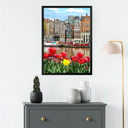 Obraz w ramie Piękny krajobraz z tulipanami i domami w Amsterdamie, Holandia