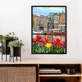 Obraz w ramie Piękny krajobraz z tulipanami i domami w Amsterdamie, Holandia