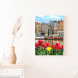 Obraz na płótnie Piękny krajobraz z tulipanami i domami w Amsterdamie, Holandia