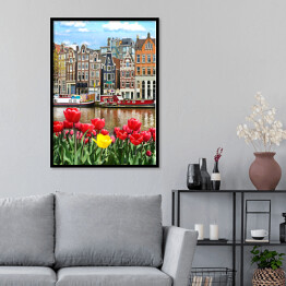 Plakat w ramie Piękny krajobraz z tulipanami i domami w Amsterdamie, Holandia