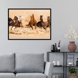 Plakat w ramie Stado koni w pustynnej burzy piaskowej