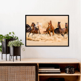 Plakat w ramie Stado koni w pustynnej burzy piaskowej