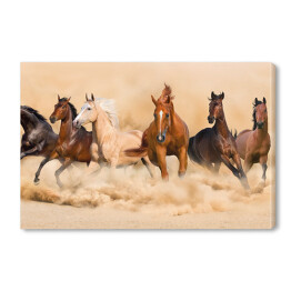 Obraz na płótnie Stado koni w pustynnej burzy piaskowej