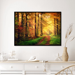 Plakat w ramie Jesienna leśna sceneria z promieniami słońca