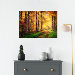 Plakat Jesienna leśna sceneria z promieniami słońca