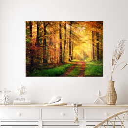 Plakat samoprzylepny Jesienna leśna sceneria z promieniami słońca