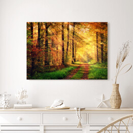 Obraz na płótnie Jesienna leśna sceneria z promieniami słońca