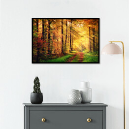 Plakat w ramie Jesienna leśna sceneria z promieniami słońca