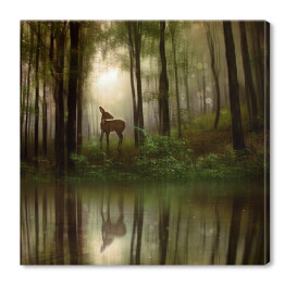 Obraz na płótnie Jeleń nad rzeką w lesie