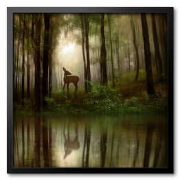 Obraz w ramie Jeleń nad rzeką w lesie
