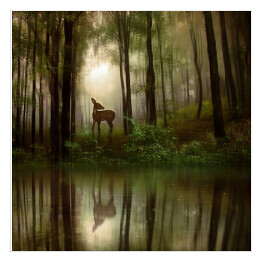 Plakat samoprzylepny Jeleń nad rzeką w lesie