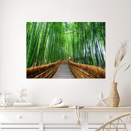 Plakat samoprzylepny Ścieżka do bambusowego lasu, Arashiyama, Kyoto, Japonia