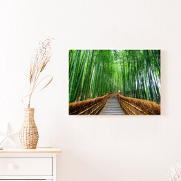 Obraz na płótnie Ścieżka do bambusowego lasu, Arashiyama, Kyoto, Japonia