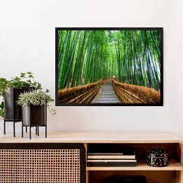Obraz w ramie Ścieżka do bambusowego lasu, Arashiyama, Kyoto, Japonia