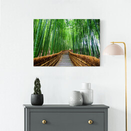 Obraz na płótnie Ścieżka do bambusowego lasu, Arashiyama, Kyoto, Japonia