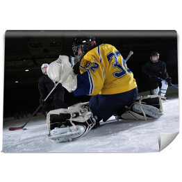Fototapeta Bramkarz hokeju na lodzie 