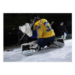 Plakat Bramkarz hokeju na lodzie 