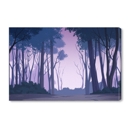 Obraz na płótnie Piękny las nocą
