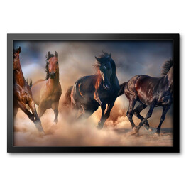 Obraz w ramie Konie w pustynnej burzy piaskowej na tle dramatycznego nieba