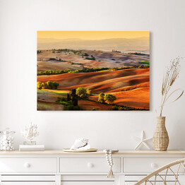 Obraz na płótnie Wzgorza Toskanii oświetlone złotymi promieniami słońca, Włochy