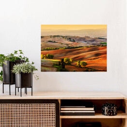 Plakat samoprzylepny Wzgorza Toskanii oświetlone złotymi promieniami słońca, Włochy