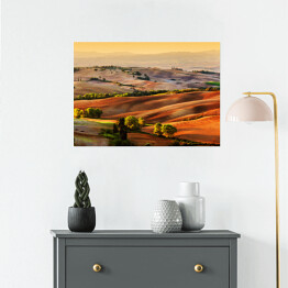 Plakat samoprzylepny Wzgorza Toskanii oświetlone złotymi promieniami słońca, Włochy