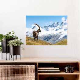 Plakat samoprzylepny Góry w Parku Narodowym Gran Paradiso, Włochy