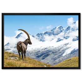 Plakat w ramie Góry w Parku Narodowym Gran Paradiso, Włochy
